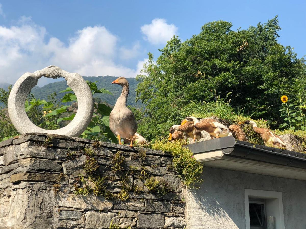 Ostello & Camping Riposo Otel Losone Dış mekan fotoğraf